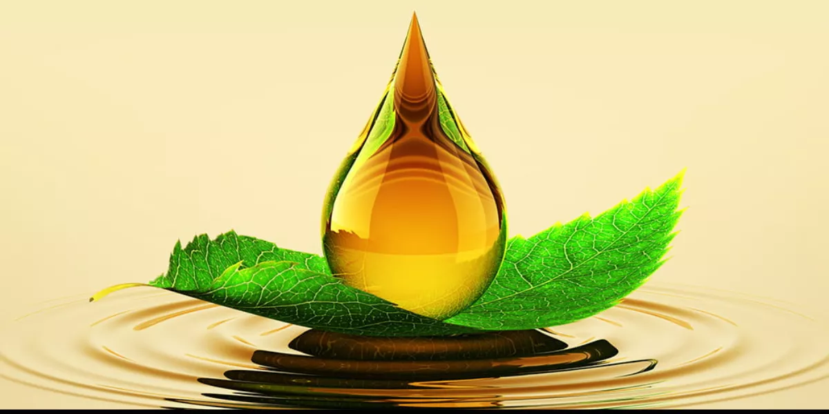 The Environmental Impact of Lubricants: Navigating Sustainability Challenges